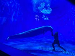 -多彩贵州城极地海洋世界