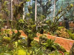 -国家植物园南园