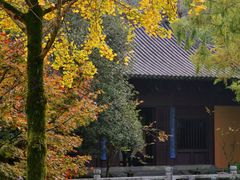 -慧因高丽寺