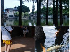 -东莞市可园博物馆