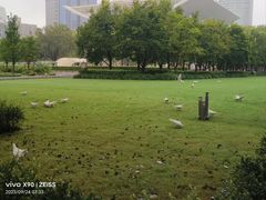 -人民广场