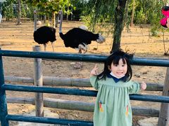 -大连森林动物园