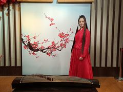-武汉杜莎夫人蜡像馆