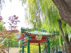 -中国农业博物馆