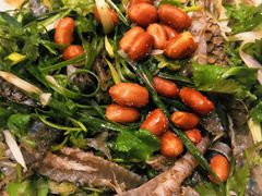 -张记旺角食街(动物园店)