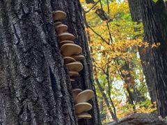 -丹东天桥沟景区