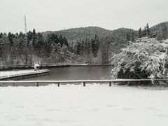 -武陵山森林公园