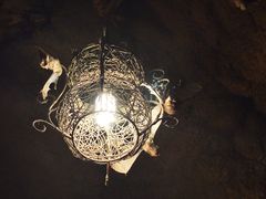 -游龙石文化科普馆