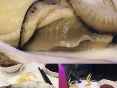 -青蓬蒸汽海鲜·深圳老字号·团建聚会(壹方城店)