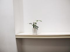 -Onirii Coffee(长乐路店)