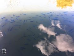 -侯臣咖啡文化村