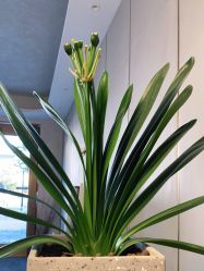 -新蝶变皮肤管理中心