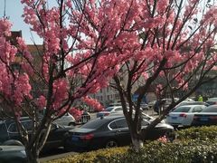 -石岛赤山风景区