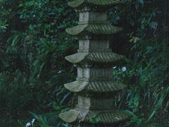 -杭州植物园