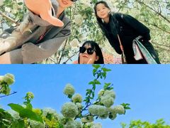 -铁山坪森林公园