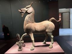 -广西壮族自治区博物馆