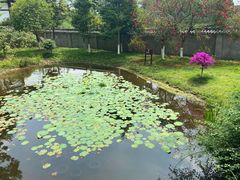 -邓小平故里