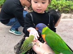 -灵玲国际马戏城