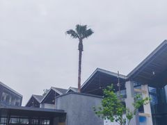 -西湖区图书馆(古墩路)