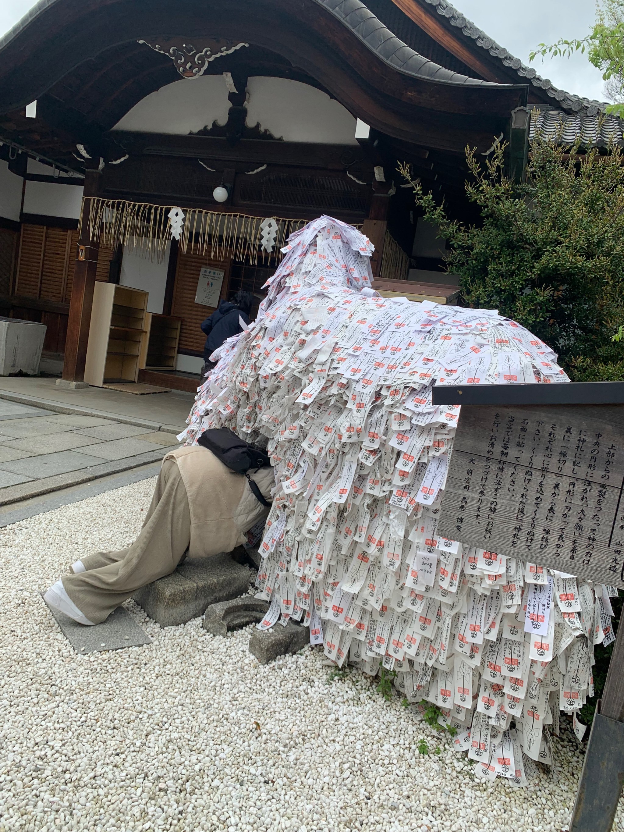 顽童有趣的灵魂出窍4月16日 15:58回复