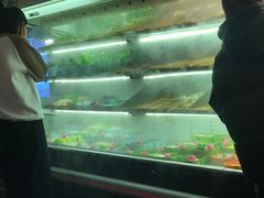 -老马路串串香火锅(北门桥店)
