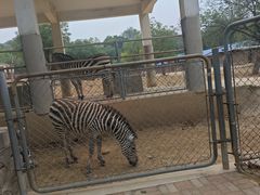 -石家庄市动物园