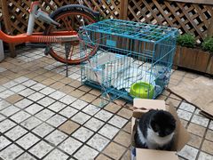 -艾加柒克蛋糕茶歇甜品台(春熙路店)