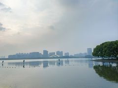 -天鹅湖体育公园