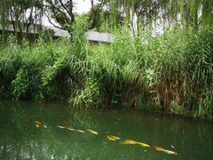 -蓝钻·国际美食海鲜自助百汇(西直门店)