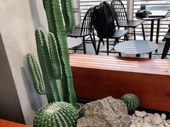 -喜茶(广州番禺奥园广场店)