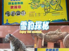 -青藏高原野生动物园