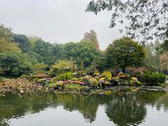 -杭州植物园