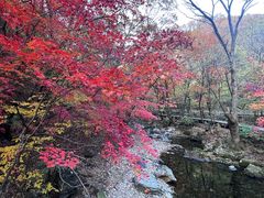 -关门山森林公园