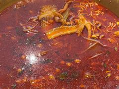 -张翻越·川渝冒菜·武汉黑鸭煲(城北万象城店)