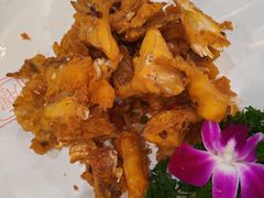 -有腥气私房菜·寻味顺德