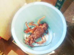 -蓝海国际大饭店·蓝钻自助百汇(兰山店)