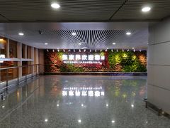 -张家界荷花国际机场