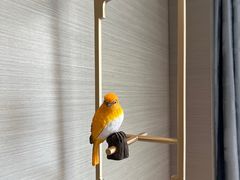 -北京北辰洲际酒店