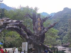 -龙湾潭国家森林公园