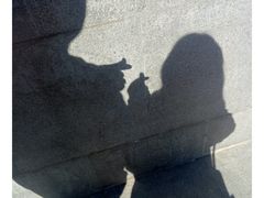 -服务大楼冷面(延大店)