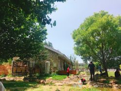 -萌宠亲子动物乐园(槐房万达店)