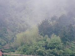-青城山