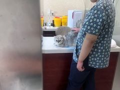 -思琪宠物医院(昆山花桥店)