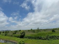 -南汇嘴观海公园