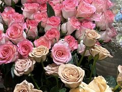 -循礼门鲜花花市(武汉循礼门店)