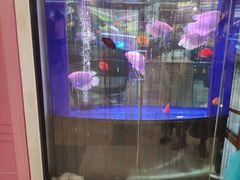-鹏欣水游城