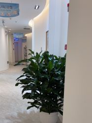 -天津伊美尔医疗整形美容专科医院