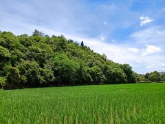 -贵阳市花溪国家城市湿地公园