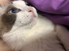 -萌宠主义宠物生活馆(金山路店)