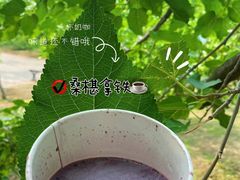 -御林古桑园